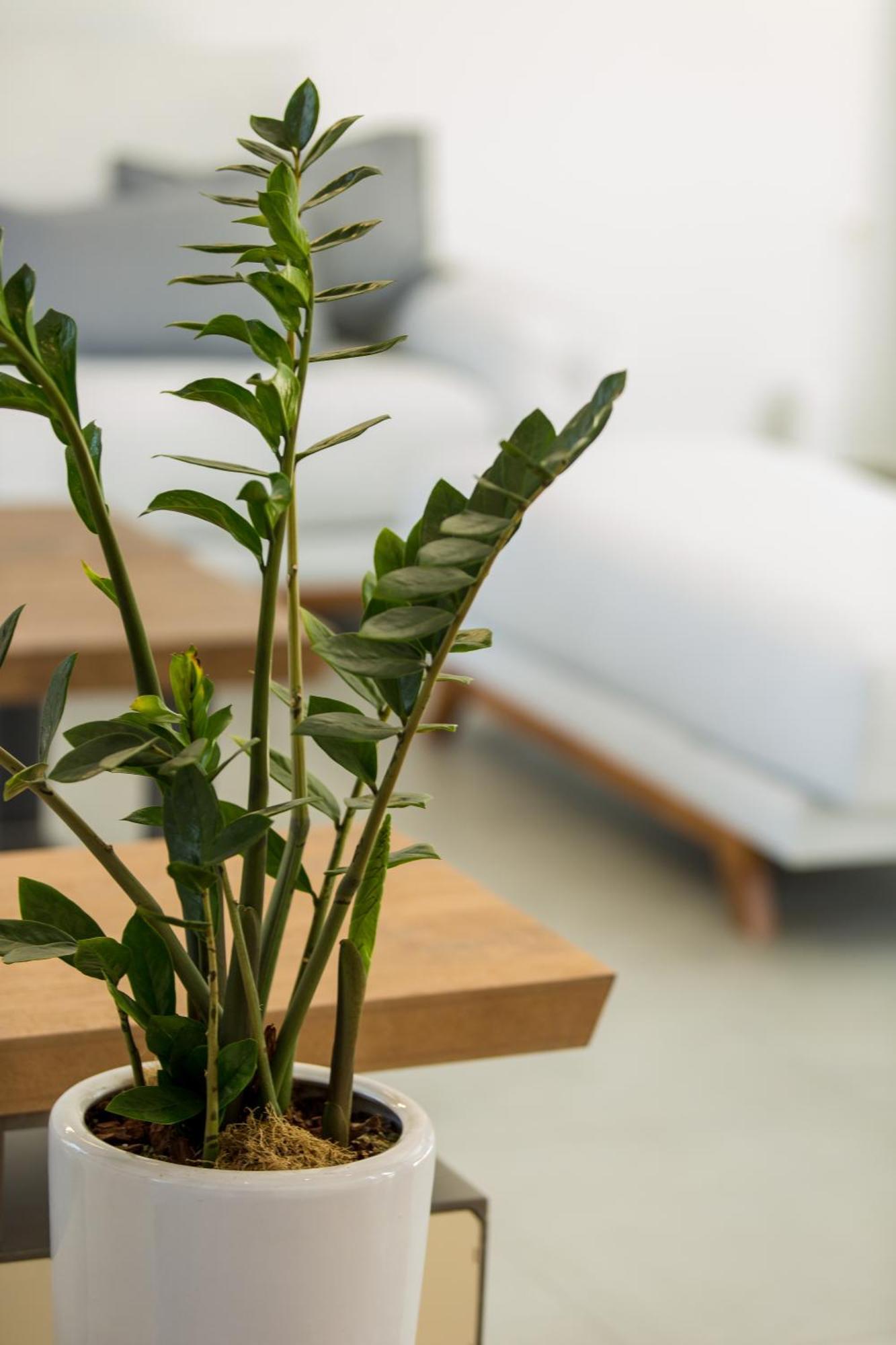Vilana Exclusive Villas Skouloúfia Eksteriør billede